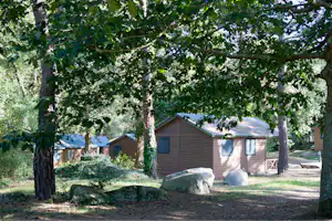 Holzbungalows auf einem Campingplatz im Grünen, umgeben von hohen Bäumen und Sträuchern.