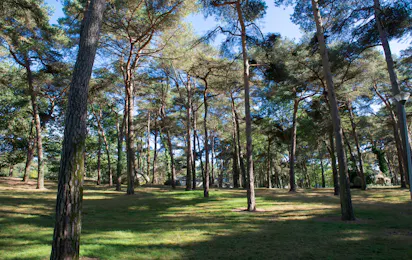 Domaine de la Pinède