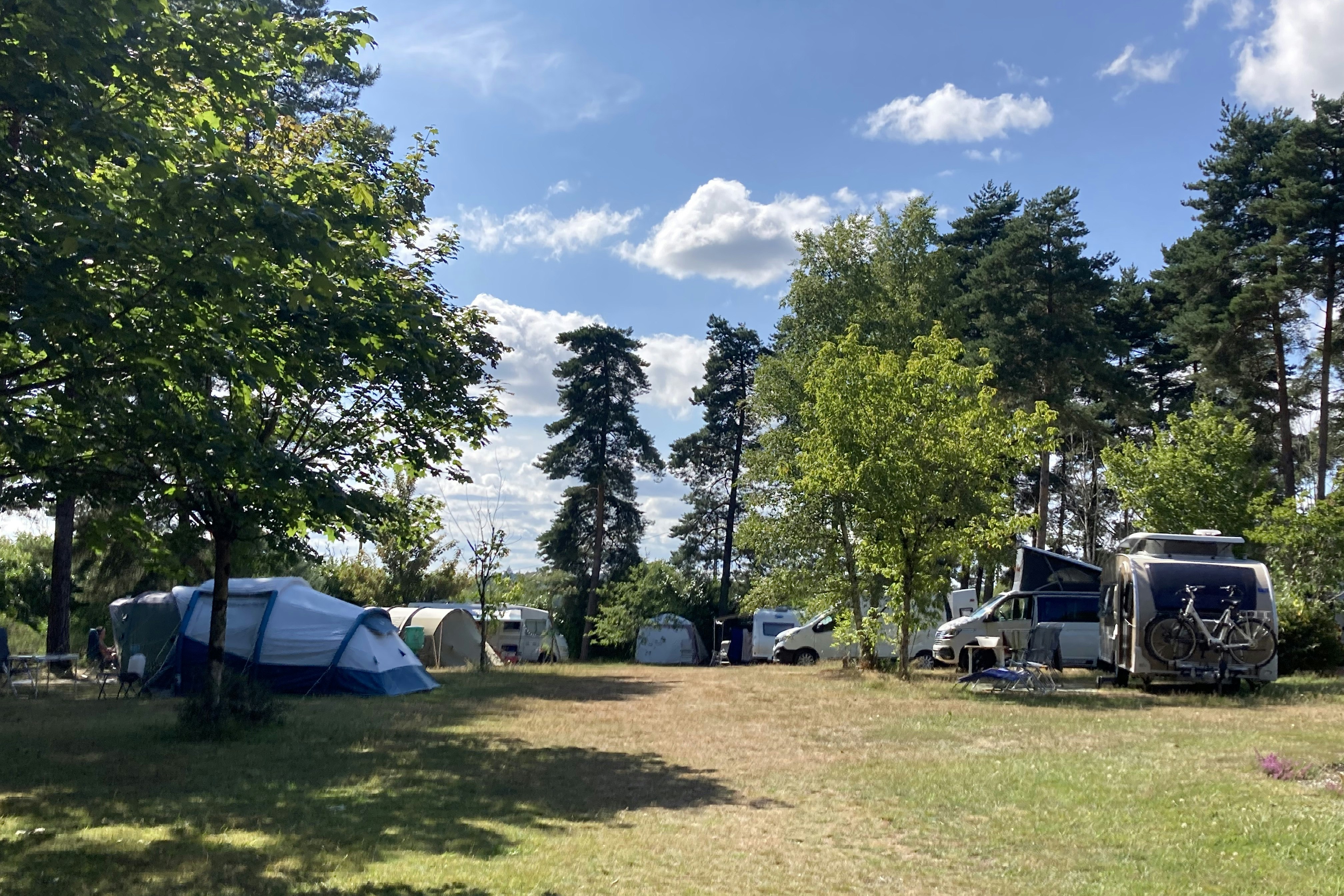 Domaine du Coq Rouge - Standplatzwiese auf dem Campingplatz