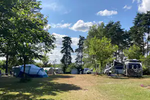 Domaine du Coq Rouge - Standplatzwiese auf dem Campingplatz