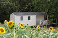 Domaine du Petit Arlane - Mobilheim und Sonnenblumen auf dem Campingplatz