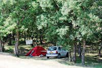 Domaine du Petit Arlane - Zeltplatz im Schatten der Bäume