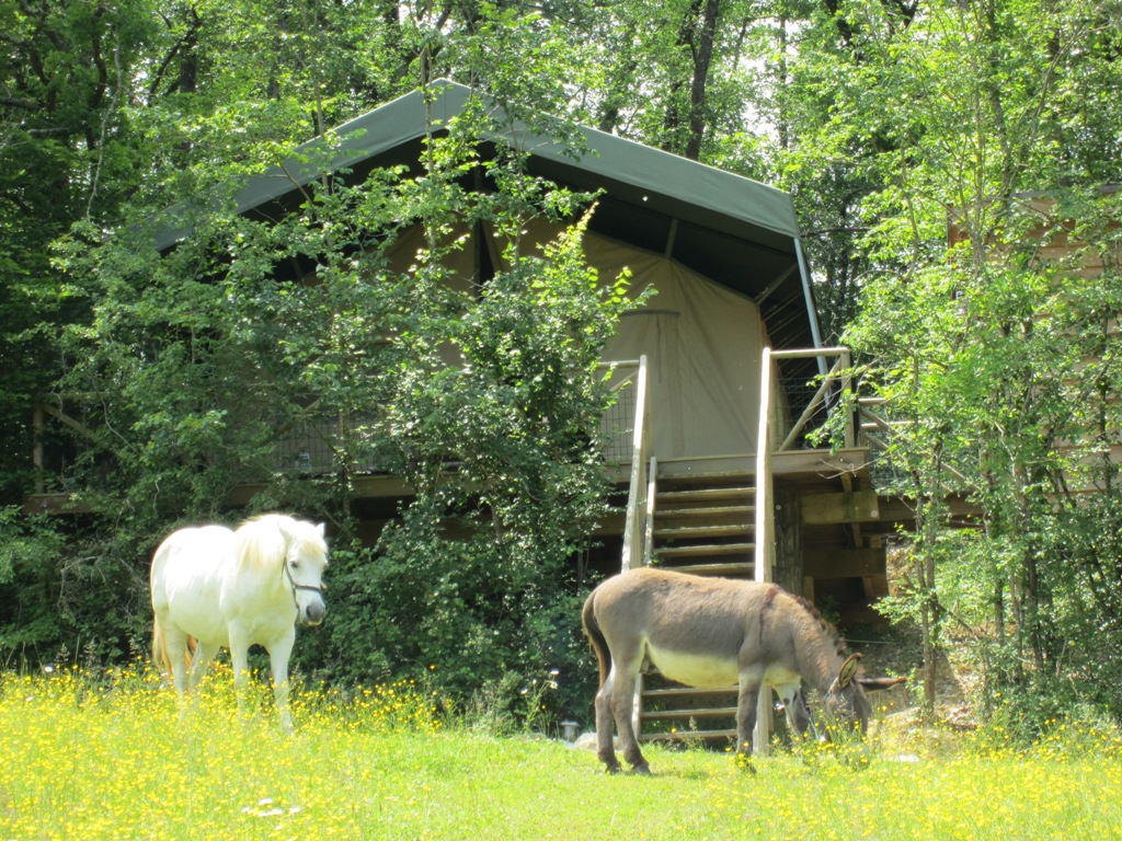 Domaine la Douce France