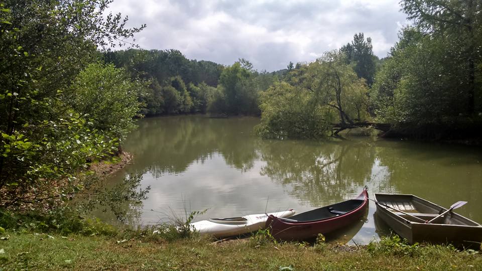 Ruderboote am Ufer eines ruhigen Sees, umgeben von Bäumen und Wiese, mit Blick auf bewaldete Hügel.