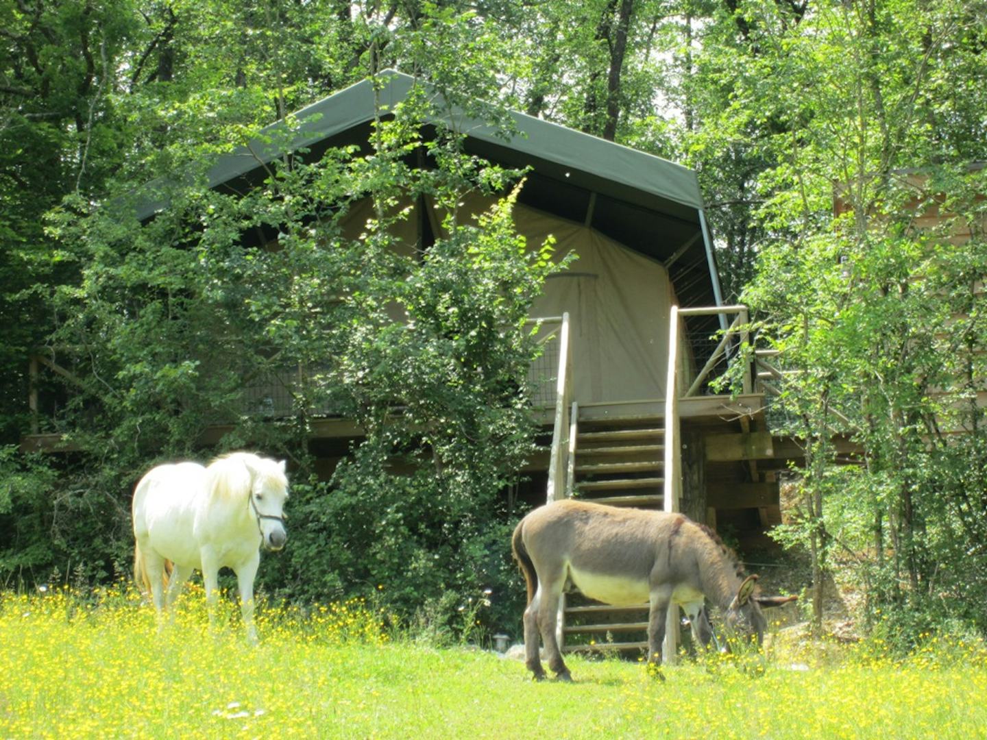 Domaine la Douce France