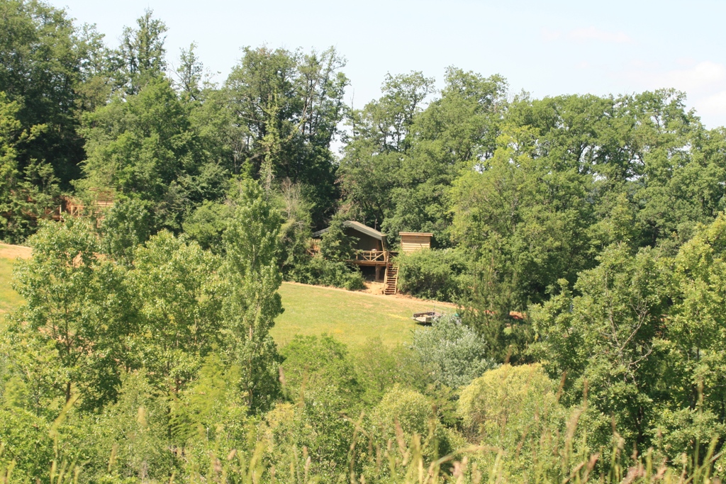 Blick auf einen Campingplatz am Hang mit Bäumen und Wiesen, im Hintergrund einzelne Gebäude und Wege.