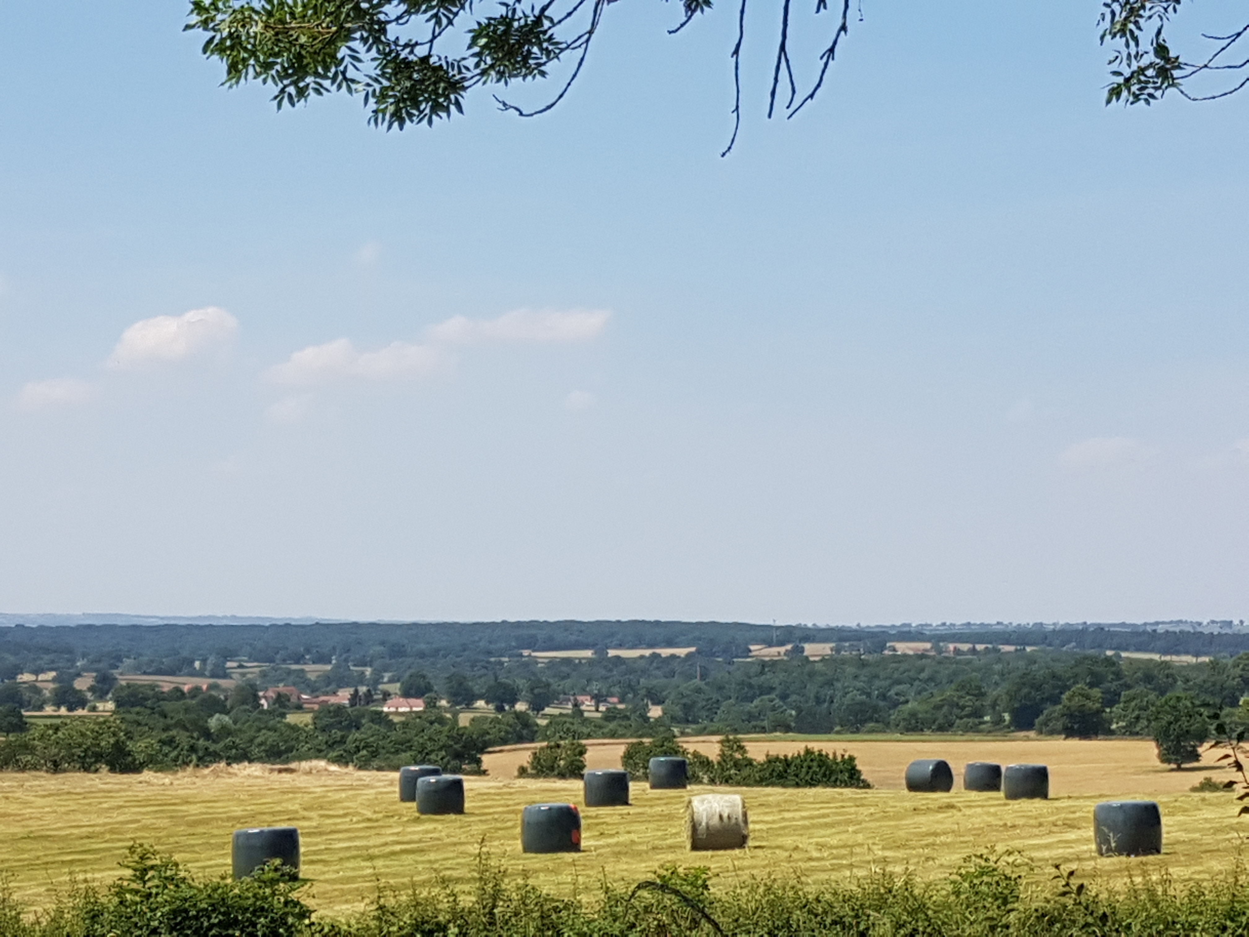 Domaine Le Petit Moulin