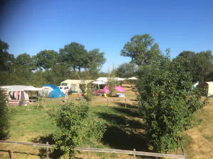 Domaine Le Petit Moulin