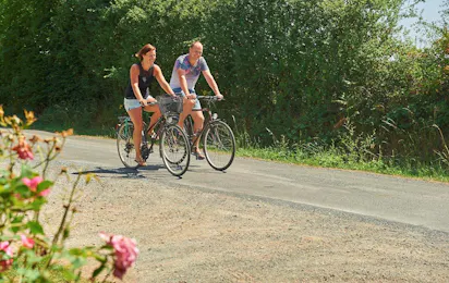 Domaine les Forges - Le Bois Senis
