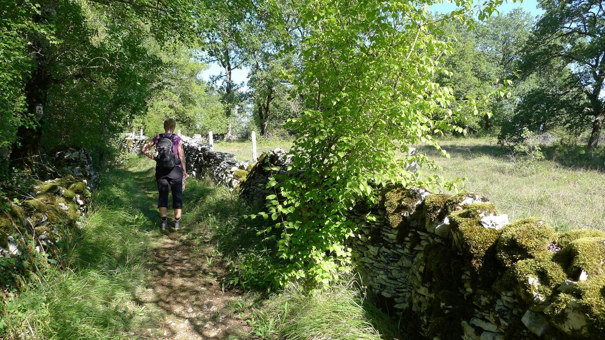 Domaine Les Teuillères