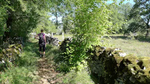 Domaine Les Teuillères