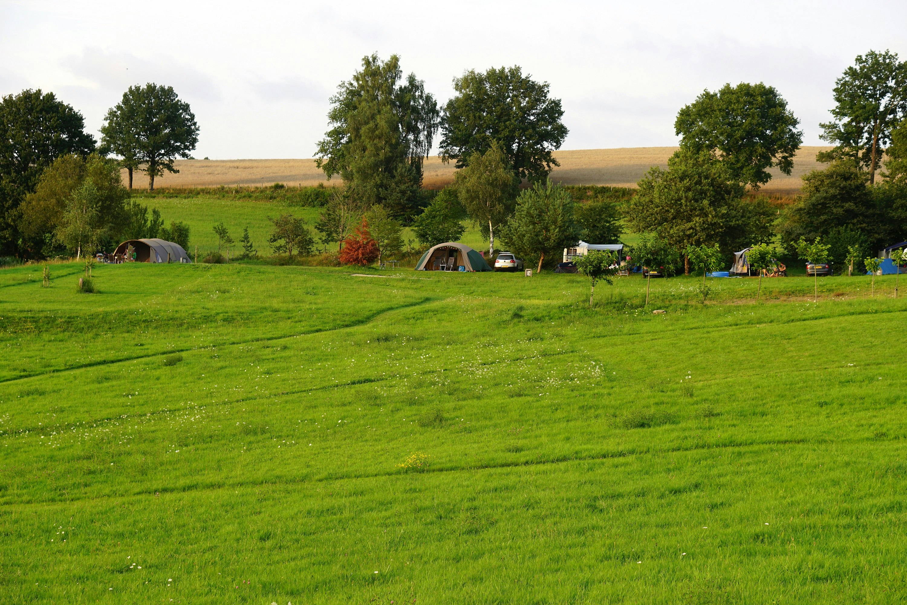 Domaine Les Teuillères