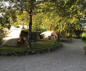 Zelte auf einem Campingplatz im Grünen, mit Kiesweg, Sitzbank und Bäumen im Hintergrund.