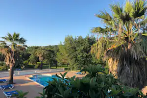 Schwimmbecken auf dem Campingplatz mit Palmen im Vordergrund, Sonnenliegen am Beckenrand und gepflegtem Garten.