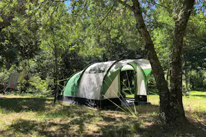 Grünes Zelt im Wald auf einem Campingplatz, umgeben von Bäumen und Gras, mit geöffnetem Eingang und Seitenfenstern.