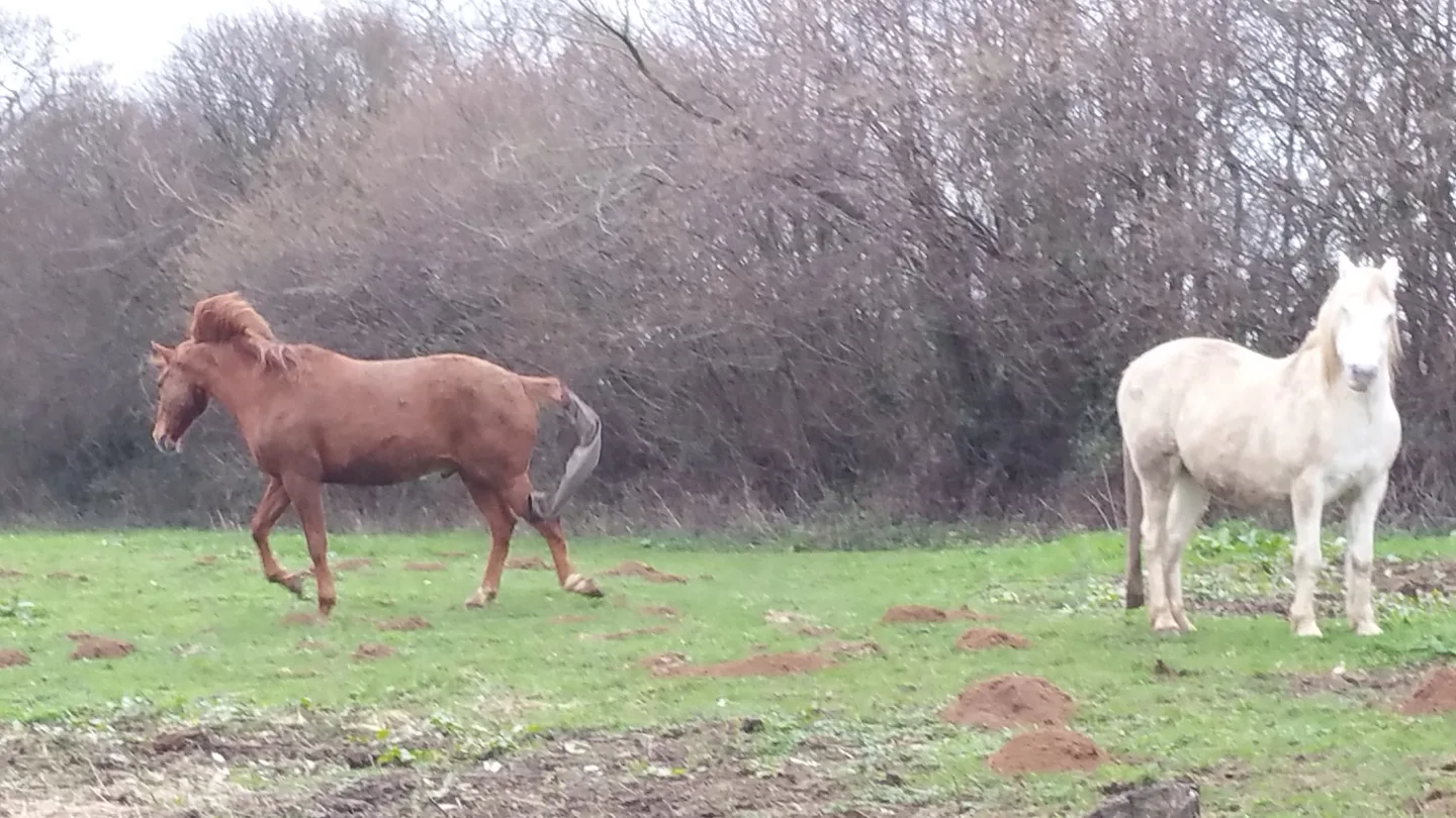 Domaine Roqueforette