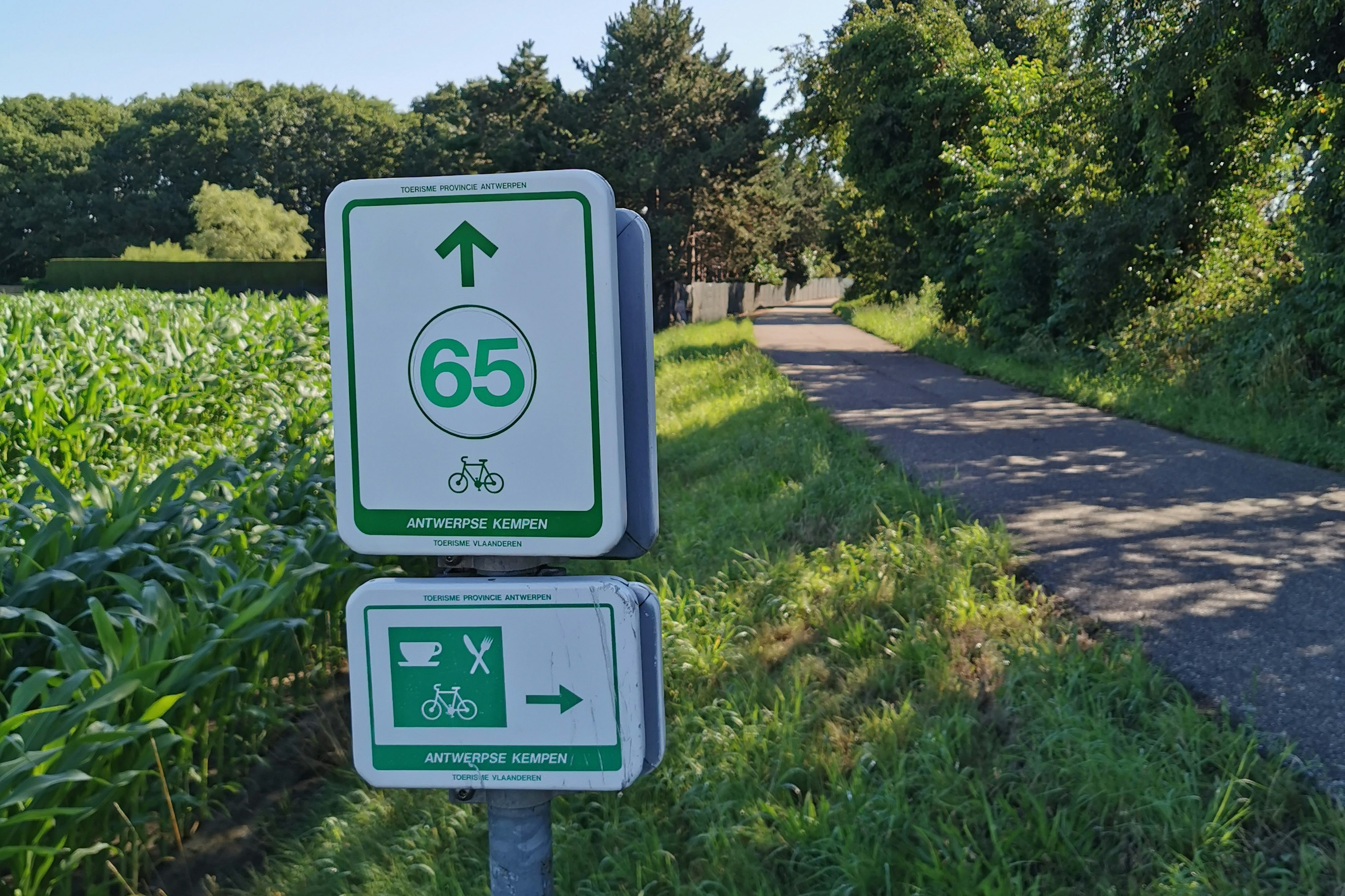Domein de Schuur - Radwege in der Natur in der Umgebung des Campingplatzes