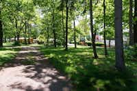 Domein de Schuur - Stellplatz- und Zeltwiese im Schatten der Bäume