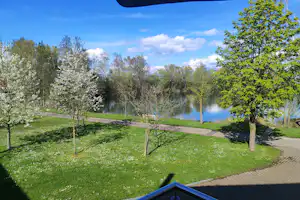 Seeufer mit gepflastertem Weg, grüner Wiese und blühenden Bäumen am Campingplatz, im Hintergrund ruhiges Wasser.