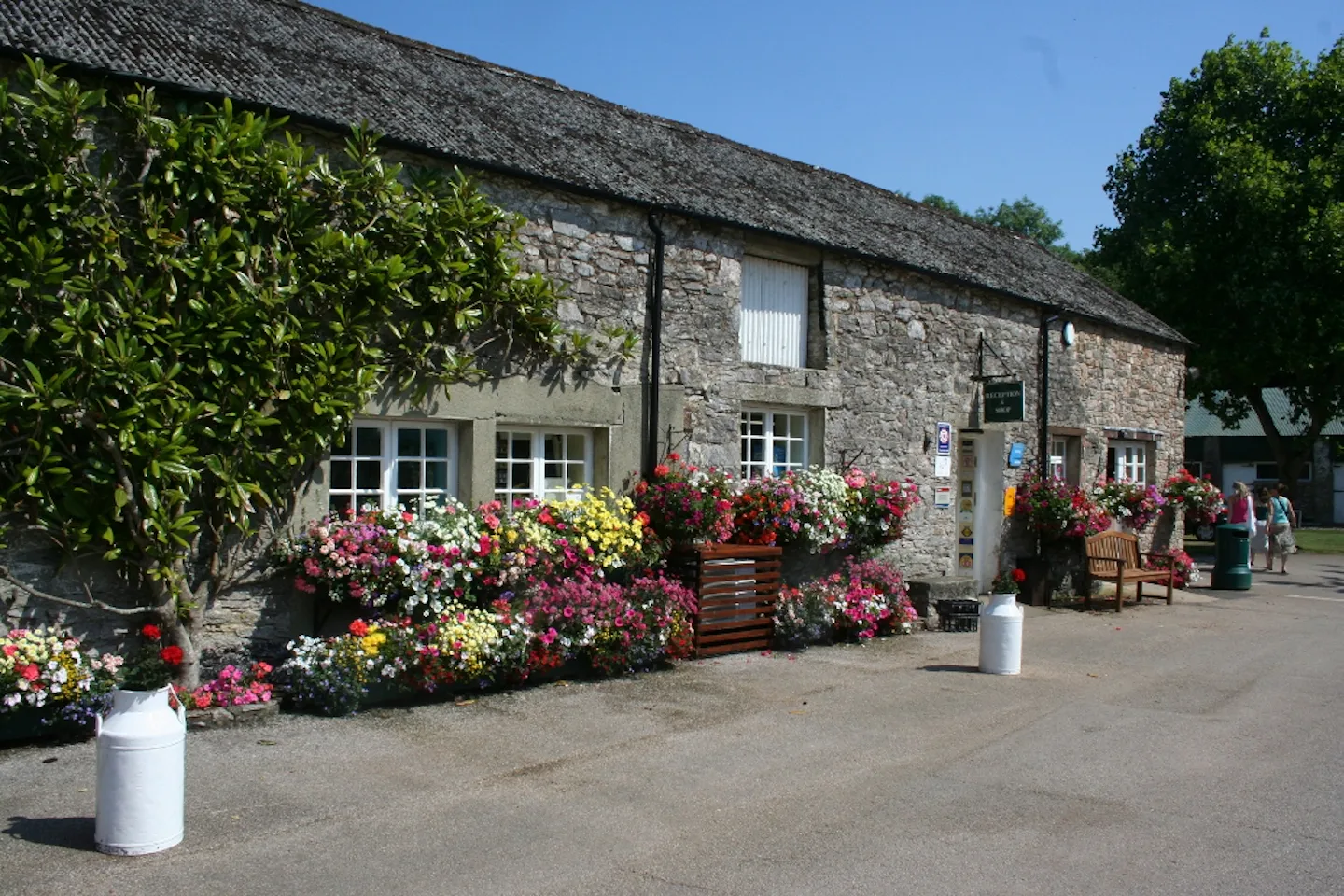 Dornafield Touring Park
