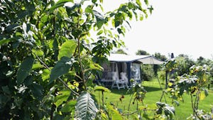 Dorpscamping Gemert