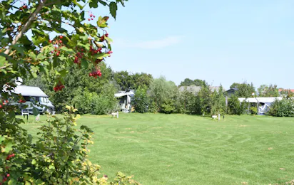 Dorpscamping Gemert