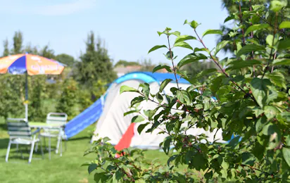 Dorpscamping Gemert