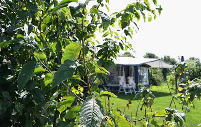 Dorpscamping Gemert