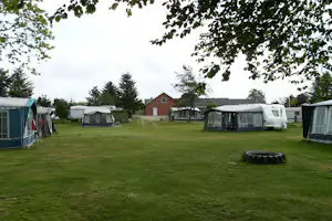Campingplatz mit mehreren Zelten und Wohnwagen auf einer grünen Wiese, Bäume und ein Gebäude im Hintergrund.