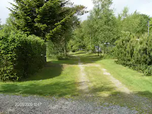 Grünes Campinggelände mit Kiesweg, Rasenfläche und Bäumen, Hecken und Sträuchern entlang des Pfads.