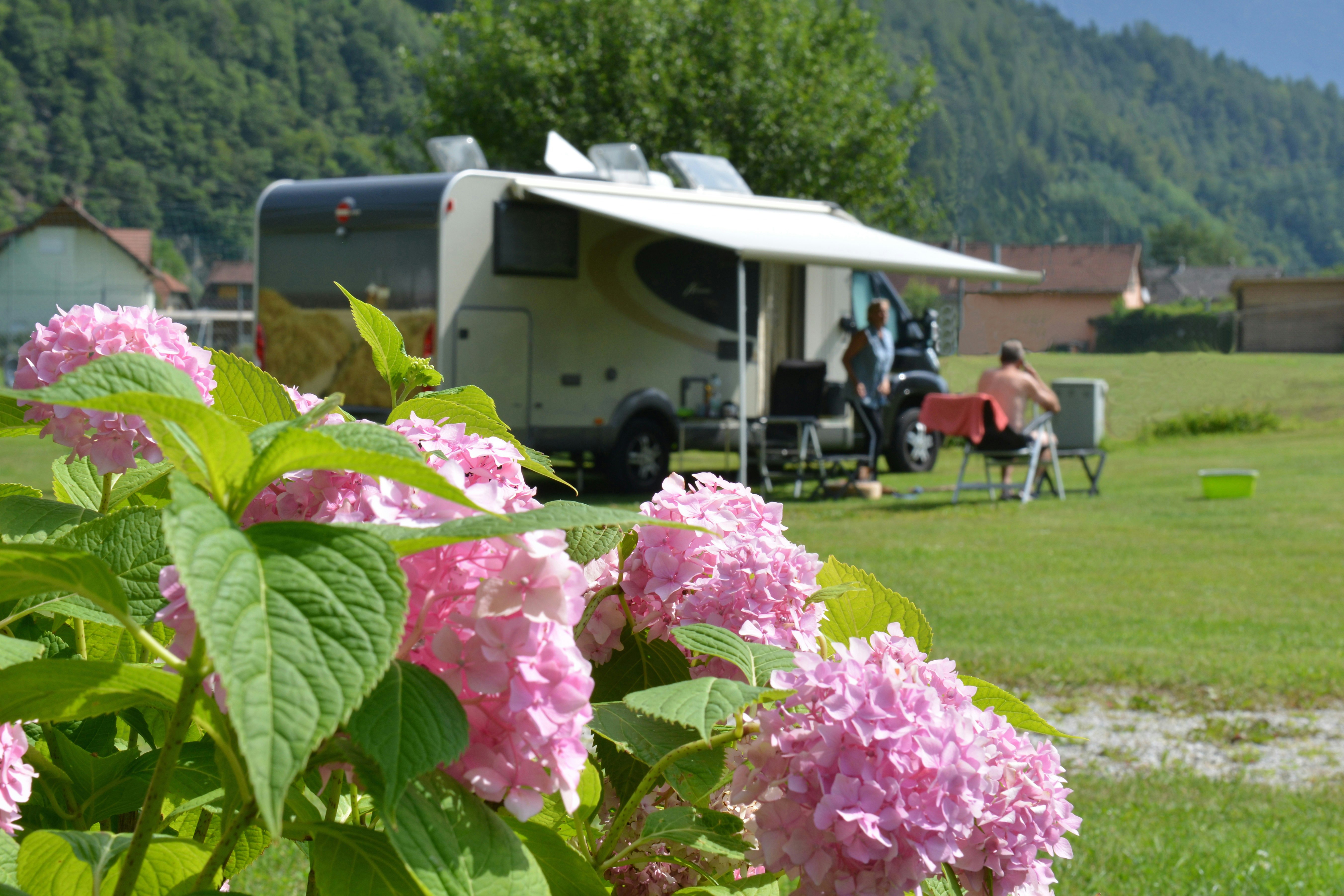 Drau-Camping - Wohnmobilstellplätze mit Blumen und grünem Rasen