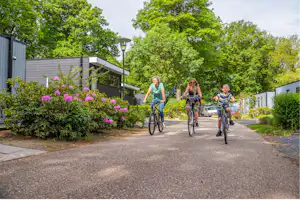 EuroParcs Maasduinen DroomPark Maasduinen - Gäste fahren Fahrrad auf dem Campingplatz