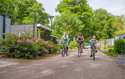 EuroParcs Maasduinen