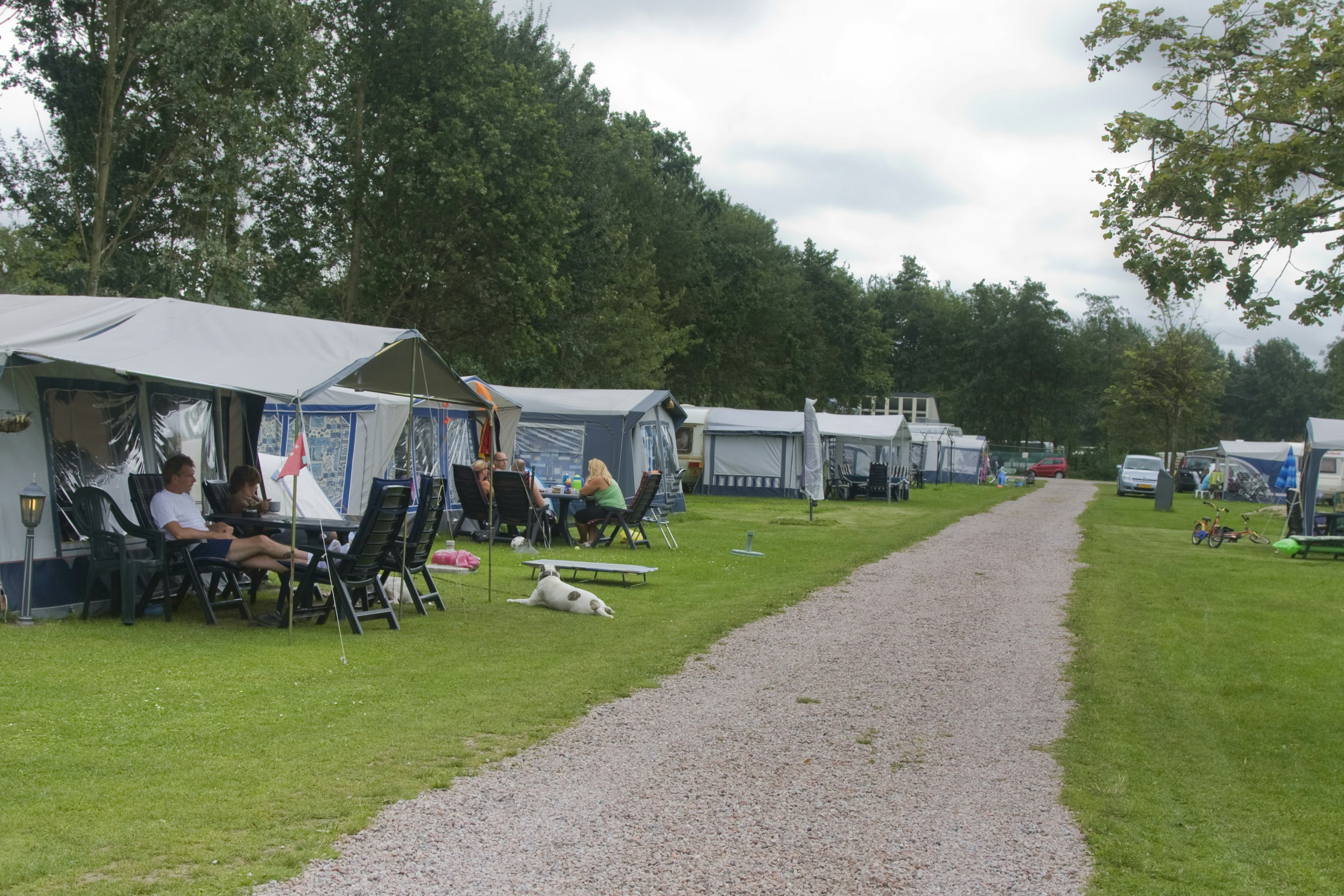 EuroParcs Spaarnwoude - Stellplätze auf der Wiese