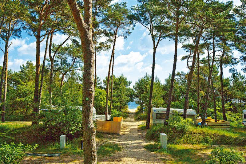 Dünencamp Karlshagen - Stellplätze mit meerblick auf dem Campingplatz