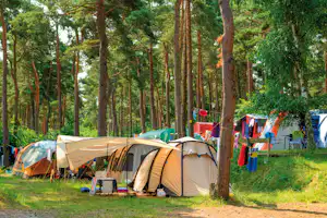Dünencamp Karlshagen - Umgeben von Wald Zeltwiese