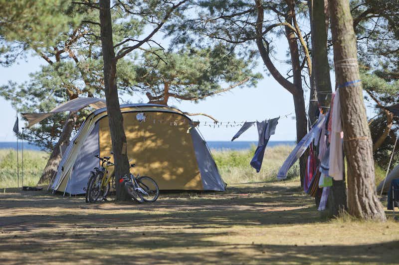 Dueodde Familiecamping & Hostel  - Wohnwagen- und Zeltstellplatz vom Campingplatz mit Blick auf die Ostsee