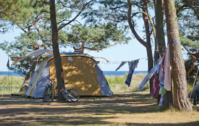 Dueodde Familiecamping & Hostel