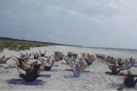 Dueodde Familiecamping & Hostel  - Yoga am Strand vom Campingplatz