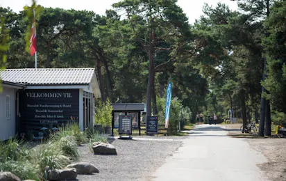 Dueodde Familiecamping & Hostel