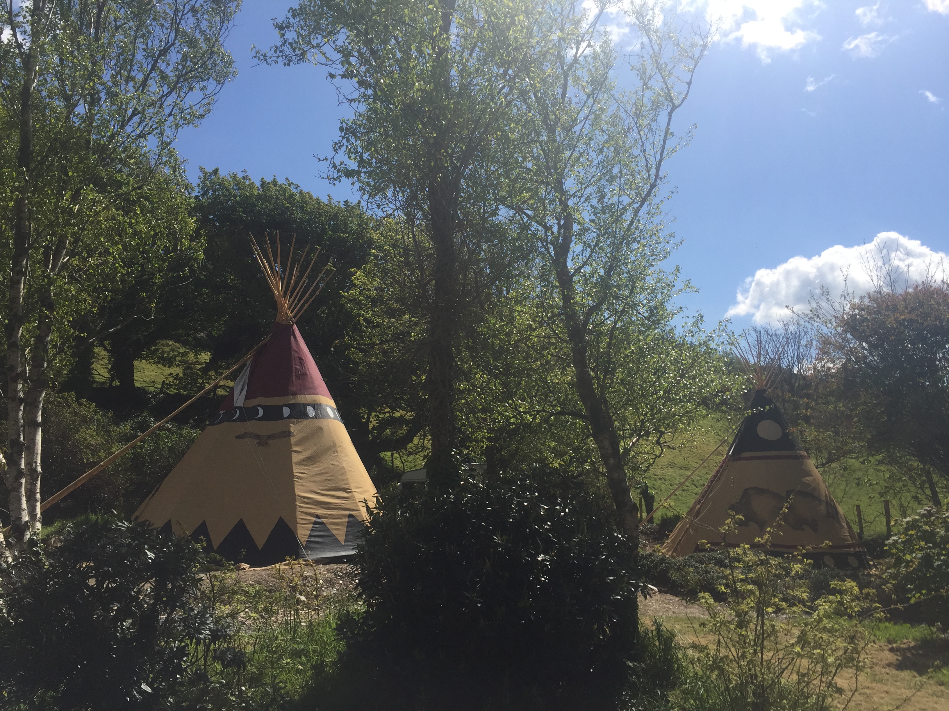 Dunbeacon Camping & Glamping