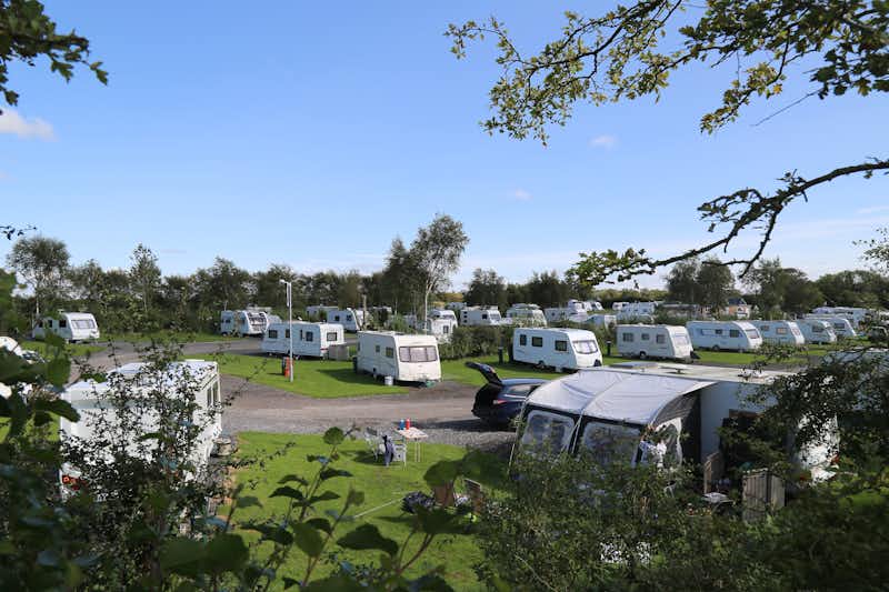 Eastham Hall Caravan Park - Campingbereich für Zelte, Wohnwagen und Mobilheime im Schatten der Bäume.