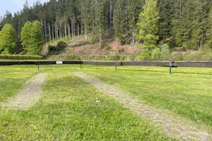 Grüner Campingplatz mit Kiesweg und Wiese, eingezäunt, im Hintergrund dichter Wald aus hohen Fichten.