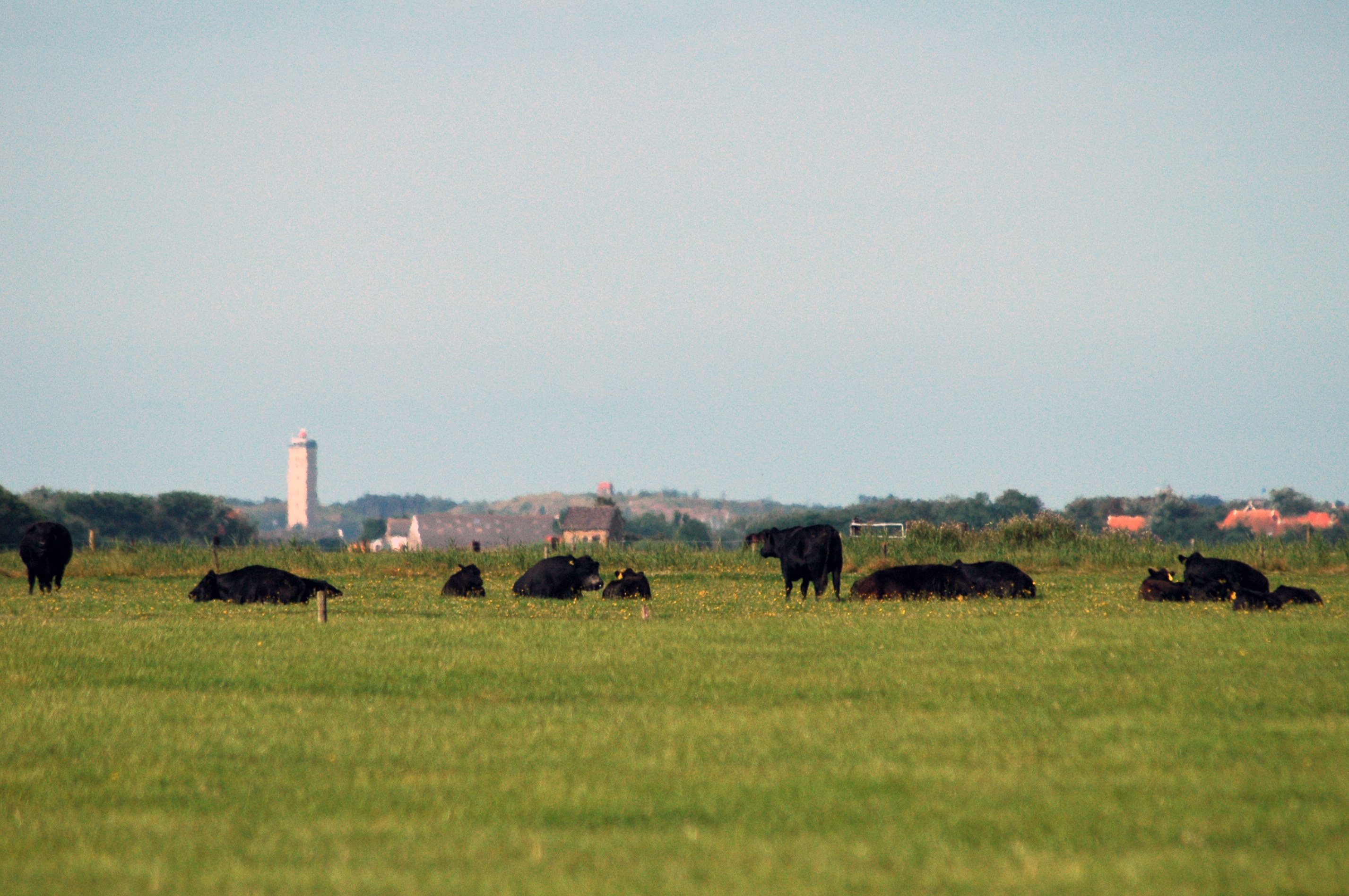 Ecologische Boerderij Spanjer