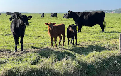 Ecologische Boerderij Spanjer