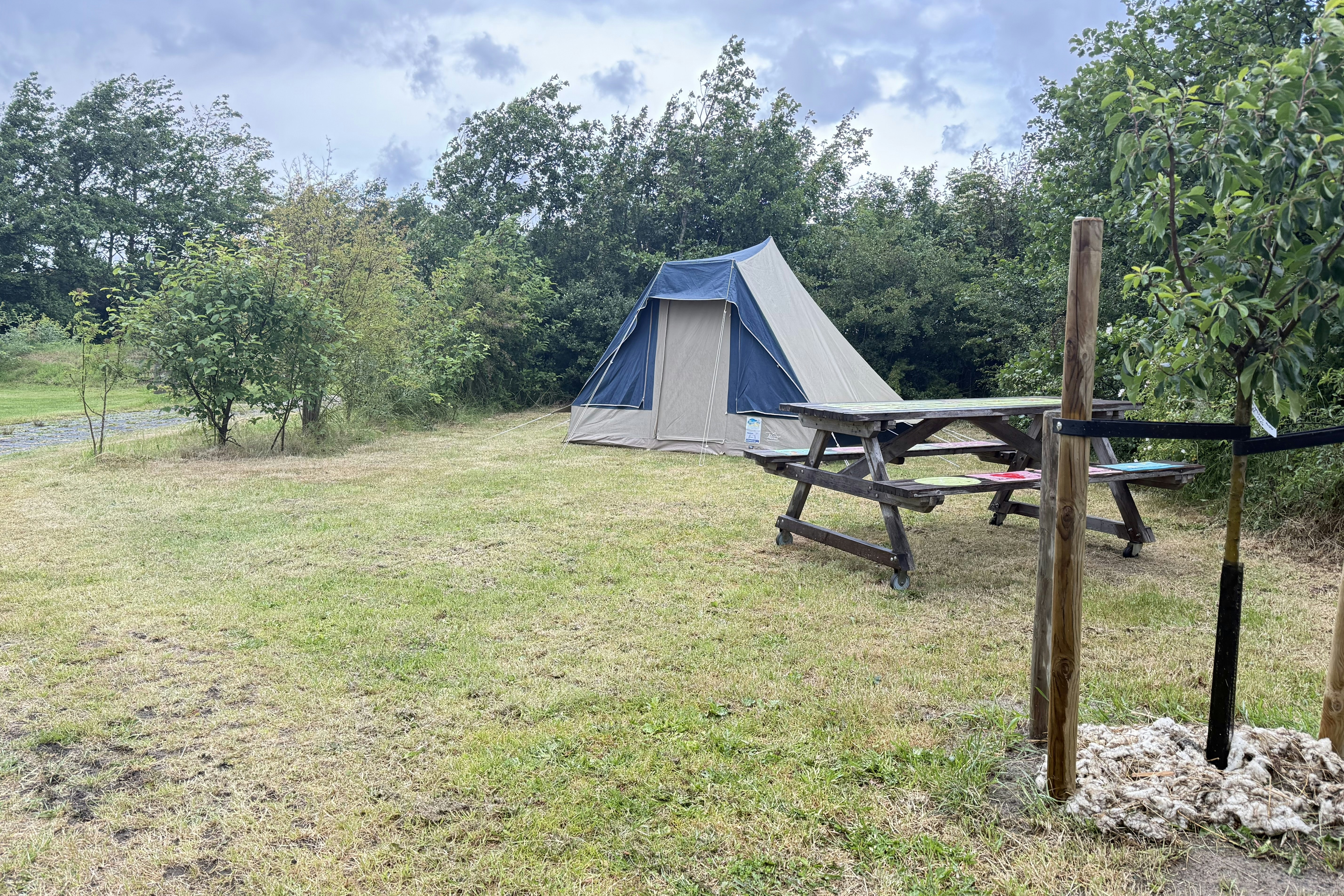 Zelt auf einem Campingplatz mit Picknicktisch und Bank, umgeben von Wiesen und Bäumen im Hintergrund.