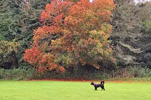 Eden Valley Holiday Park - Hundebereich auf dem Campingplatz