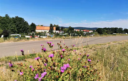 Edertaler Hof