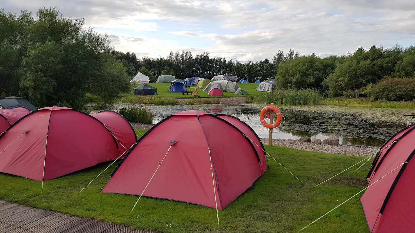 Edinburgh Festival Camping