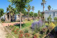 El Pinar Beach Camp  -  Mobilheime vom Campingplatz im Grünen
